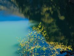 -叠溪松坪沟景区