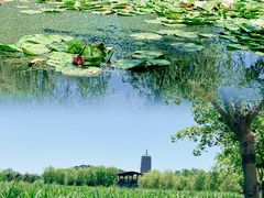 -永定河休闲森林公园