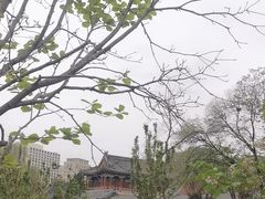-北京艺术博物馆(万寿寺)