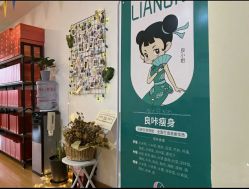 -盖氏丹辰·良咔瘦身·减脂塑形
