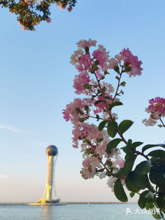 西太湖揽月湾图片