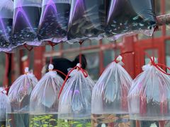 -华声天桥民俗文化园