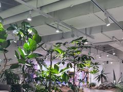 -银座mall(东直门店)
