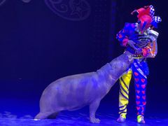 -珠海横琴长隆《卡卡虎奇遇记》