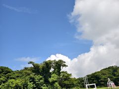 -济州森林小火车生态公园