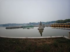 -石家庄市植物园