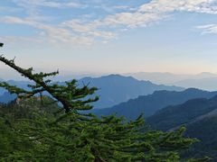 -朱雀国家森林公园