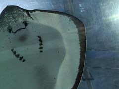 -福州罗源湾海洋世界旅游区