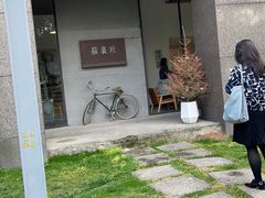 -猫里有甜