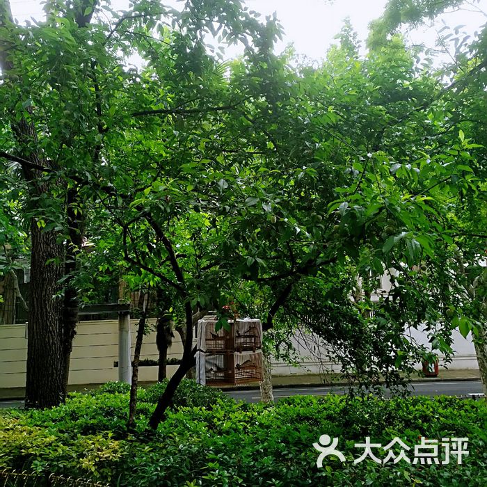 湖南路兴国路口街心花园