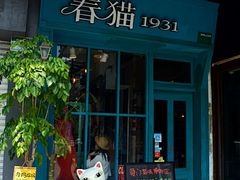 -猫咪博物馆(顶澳仔猫街店)