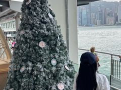 -海港城