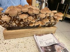 -椰子营·椰子鸡火锅(万象里店)