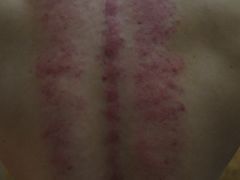 -莱仪堂艾灸经络养生馆(宜川路店)