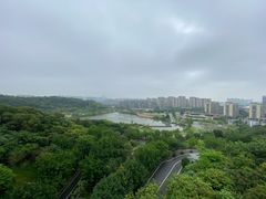 -飞凤山奥体公园