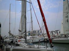-海豚湾扬帆出海帆船游艇