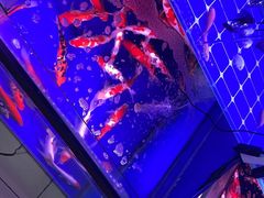 -朝来春花卉市场