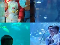 -太平洋海底世界