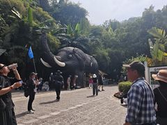 -野象谷景区