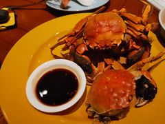 -美盛喜来登大酒店-盛宴标帜餐厅