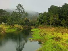 -海南热带雨林国家公园吊罗山景区