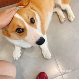点了两杯咖啡 冰拿铁和西柚冷萃，味道都不错