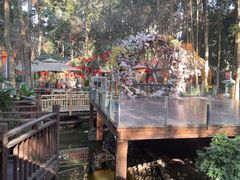 -二荆条·蜀鲜汇城市森林火锅