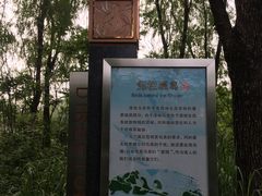 -翠湖国家城市湿地公园