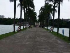 -南宁南湖公园