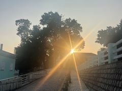 -嘉模圣母教堂