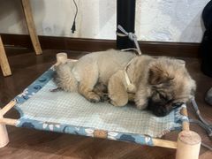 -铁炉咖啡(河下古镇店)