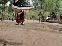 -东方巨龟苑景区