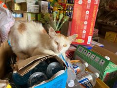 -烟桥私房菜馆(奋哥)