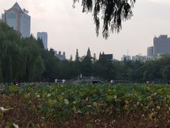 -包公祠