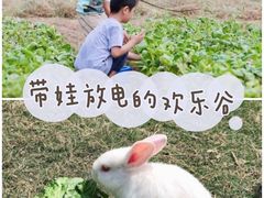 -前小桔亲子创意农场·草莓采摘·露营烧烤