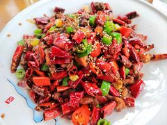 -青城甲(青城山店)