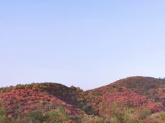 -鬼笑石后山停车场