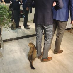 点击看大图 -优刻西服西装定制(金轮国际广场店)