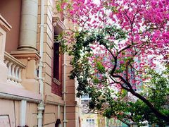 -香港大学