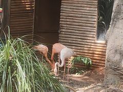 -昆明动物园