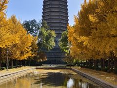 -玲珑塔公园