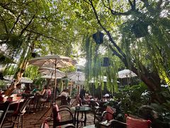 -Fern Forest Cafe
