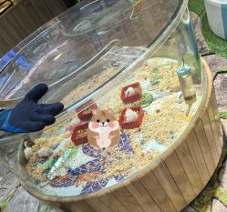 -卡通尼·Safari非洲探索乐园·生日会(金桥国际商业广场店)