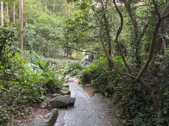 -火炉山森林公园