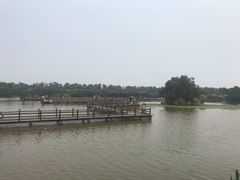 -大湾区中央湿地公园