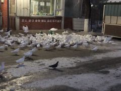 -北山公园