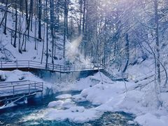 -峡谷浮石林景区