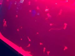 -多彩贵州城极地海洋世界