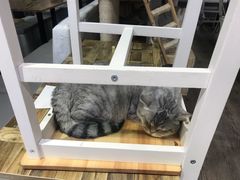 -小时光咖啡馆(开森度假森林店)