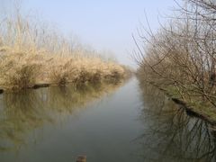 -溱湖国家湿地公园